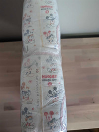 Huggies Snug & Dry Diapers (Size 2)