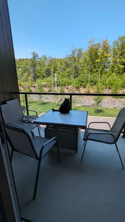 appartement 4 1/2 à louer quartier Roc Pointe, Lévis
