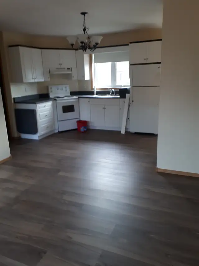 1 Bedroom Suite in Long Term Rentals in Winnipeg - Image 3