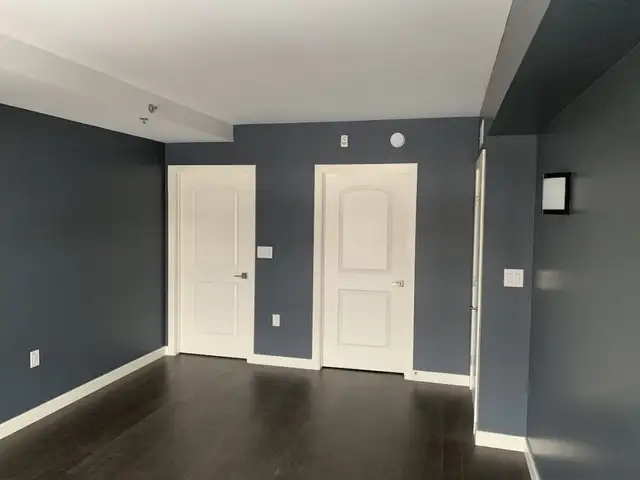 Professional Painter63013090737411121