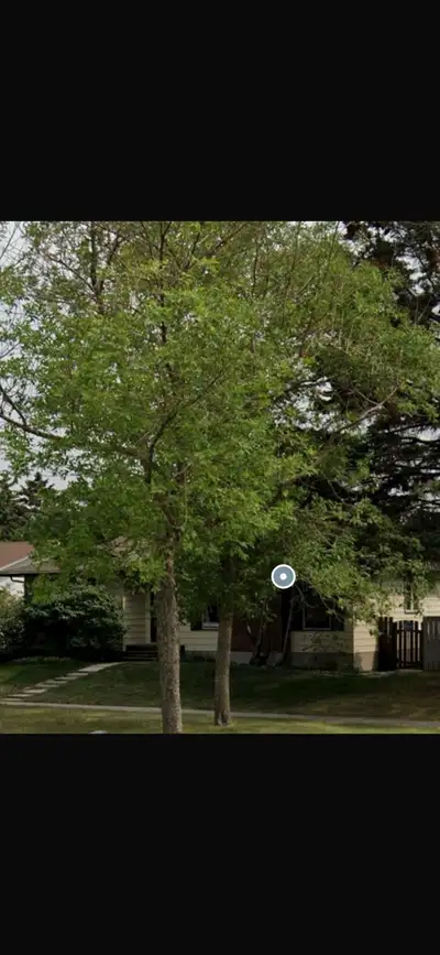 TAMBIÉN SE HABLA ESPAÑOL SI TIENEN ALGUNA PREGUNTA. Rent is $2,275 plus bills. 3 bedrooms + Den 2.5...