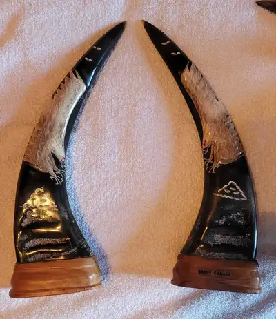 Two carved Bison Horns , View more