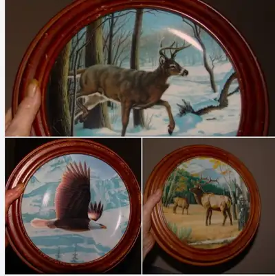 Bradford exchange limited addition from the Wild and Free: Canada’s Big Game Series (3) 8 1/2" Colle...