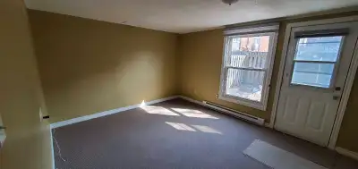ONE BEDROOM WALKOUT BASEMENT FOR RENT