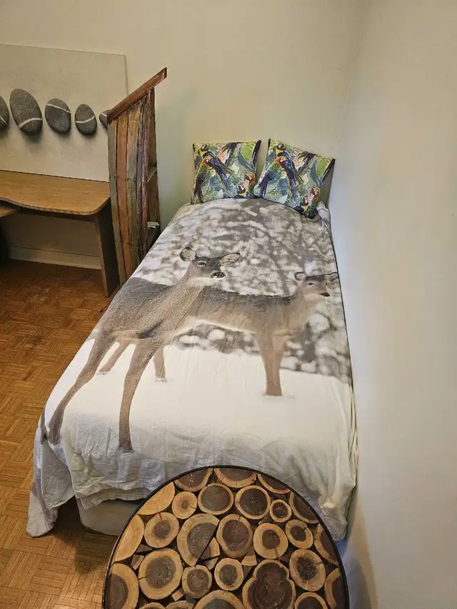 Furnished private bedroom for rent, all utilities included in Room Rentals & Roommates in City of Halifax - Image 4
