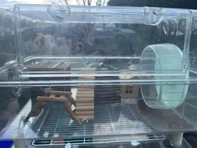 Christmas hamster kit , View more