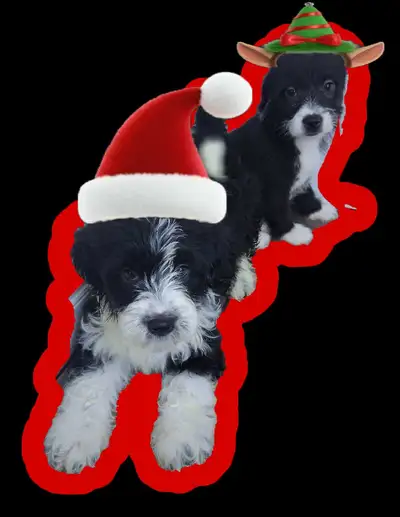 ☆SANTA'S LIL HELPERS ☆, View more