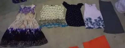 Women's Tops, View more