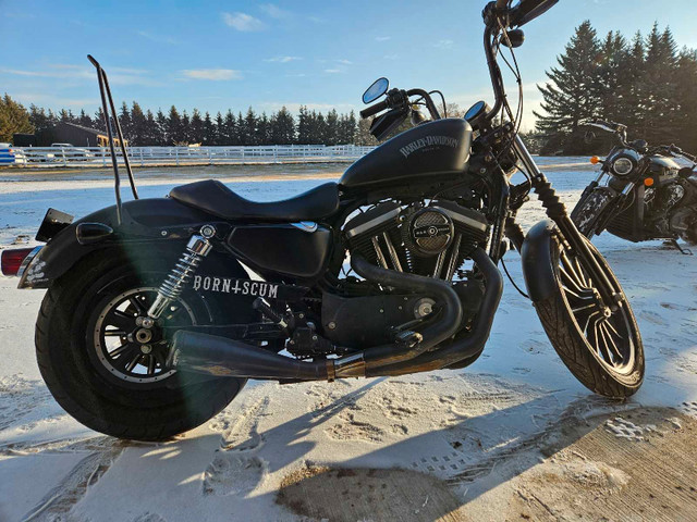 2014 Harley Davidson 883 for sale  in Street, Cruisers & Choppers in Edmonton - Image 4
