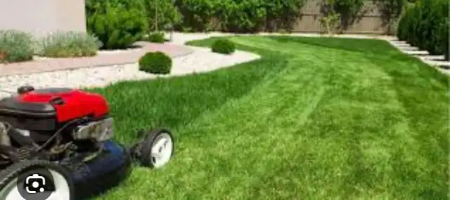 Grass Cutting Starting $19 Same Day Visit62863277766914123