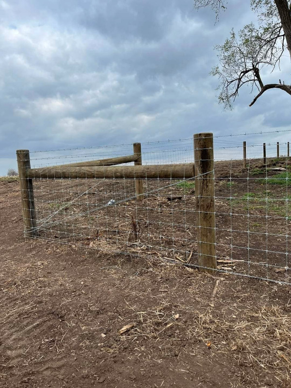 Livestock and Acreage Fencing in Livestock in Moose Jaw - Image 4