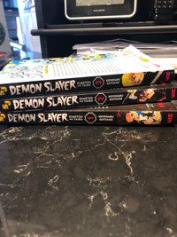 Demon Slayer Manga 1-3