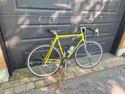 Concorde tuned up 23.5" frame road bike, View more