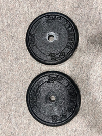 York cast iron plates 2 x 25 lbs