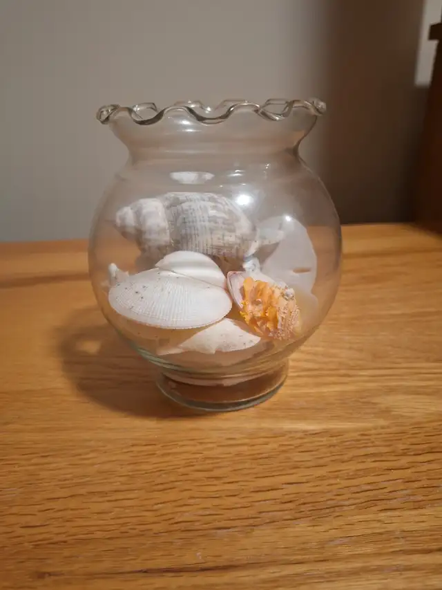 A Glass Jar of Conch and Seashells, Very Beautiful