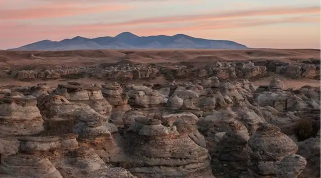 Single mom needing help 64961232403330120