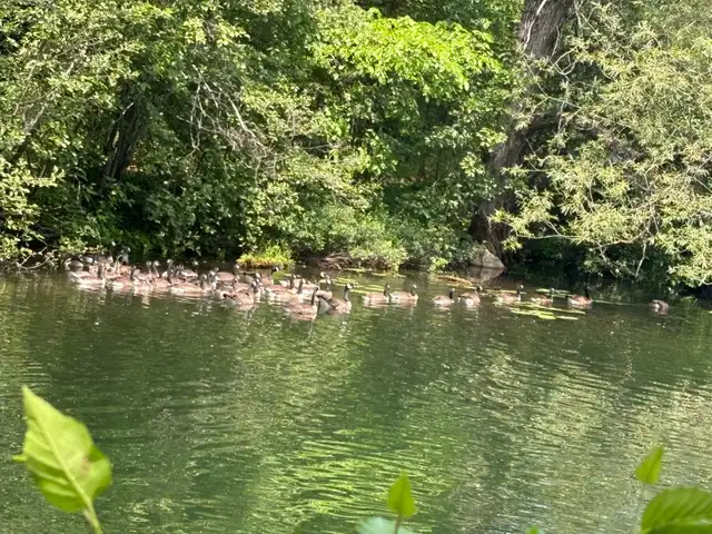 Land for sale, Lac Long, Blue Sea municipality63373391153283121