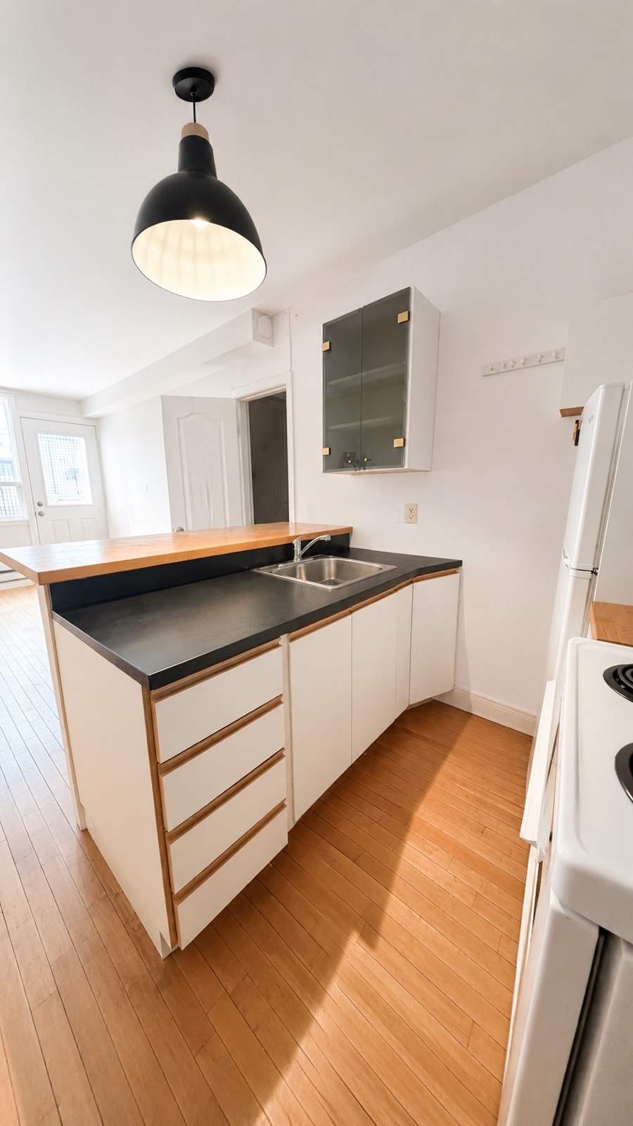 Animals accepted! 3 1/2  au Plateau Mt-Royal - parc La Fontaine! — photo 3
