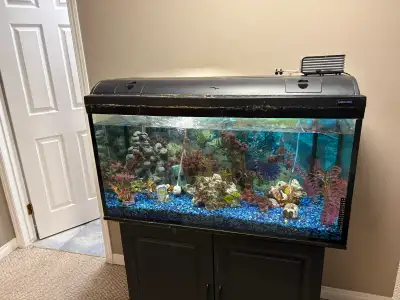 aquarium and Stand, View more