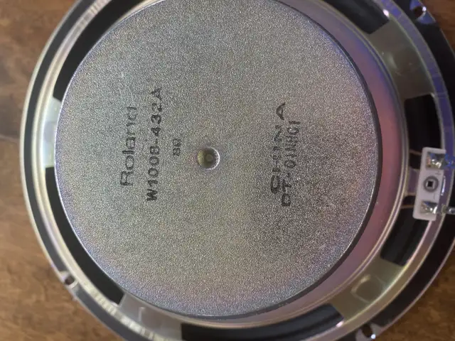 Roland Guitar Amp Speaker 50W 8 ohm in Amps & Pedals in Bedford - Image 4