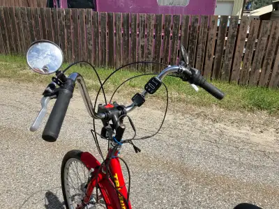 6 speed trike with Swytch Go kit. Go upgrade kit was purchased last year. Great for bringing home gr...