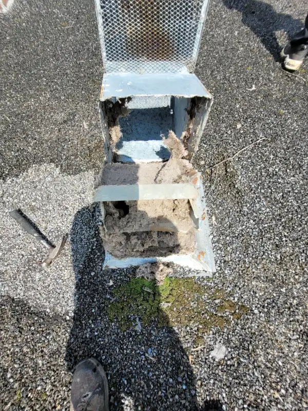 ROOF REPAIR PATCH REALLY GOOD PRICE URGENT ROOF REPAIR62865711047809121