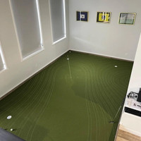 Puttview putting surface 
