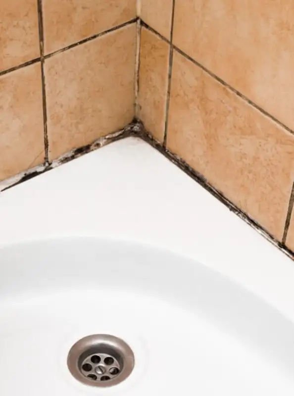 Bath-tub Black Mold Removal, Tile & Grout Cleaning & Caulking63384476708483124