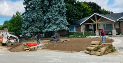 Grading & sod installation  9059200613, View more