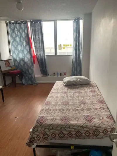 Hi! I am an Indian IT professional looking for a mature, responsible, and clean individual to share...