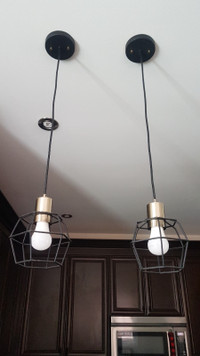 2 Pendant Lights