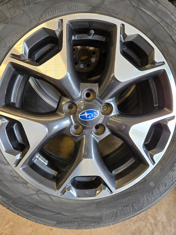 2019 Subary Crosstrek original rims. 17". in Tires & Rims in Moncton