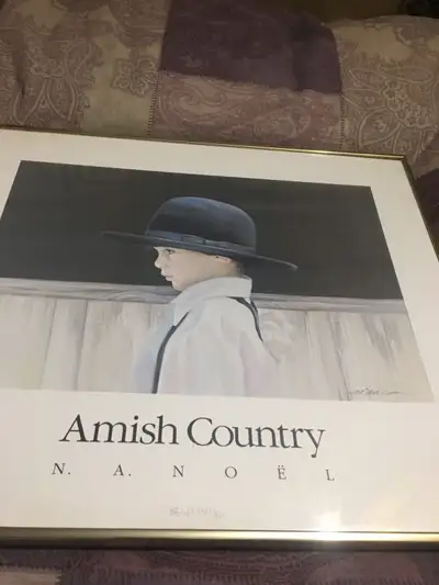 Popular print of a Amish boy by N.A Noel, 19” wide by 17” high under glass in metal frame all ready...