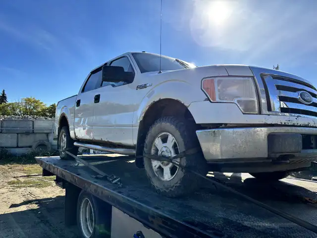 Buying 2009 and up ford f150 trucks regardless of the condition  in Cars & Trucks in Edmonton - Image 7