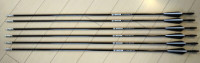 NEW 6pc 31'' Fiberglass Arrows Spine 700 OD 7mm