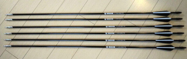 NEW 6pc 31'' Fiberglass Arrows Spine 700 OD 7mm in Fishing, Camping & Outdoors in Moncton