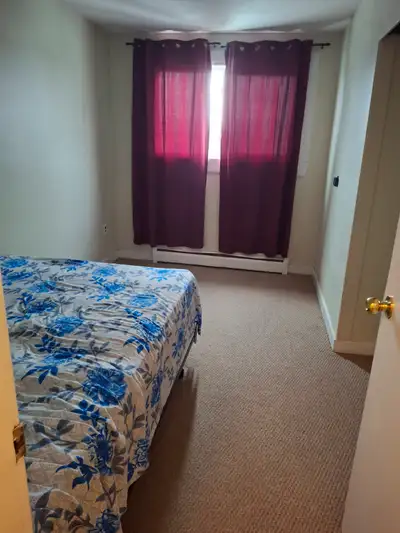 1 furnished bedroom available in 2 bedroom apartment .Apartment is fully furnished. Rent will be 800...