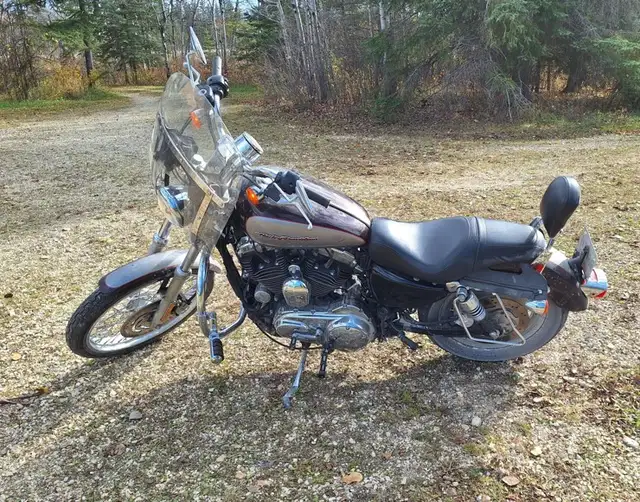 Harley Davidson Sportster 1200 in Street, Cruisers & Choppers in Winnipeg - Image 3