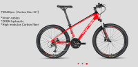 Brand New Twitter TW2400pro 24" Carbon Fiber Bicycles