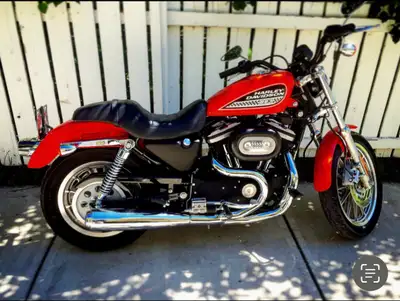 2002 Sporster 883R Low kms (9000kms). Always stored indoors Emaculate condition. Fresh oil change, n...