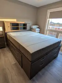 Brand New Bed (Mattress INCLUDED) - Need gone ASAP