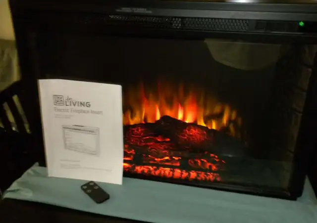 FIREPLACE INSERT582841768713932801