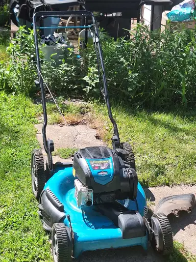 Works and cuts good. Self propelled, tall rear wheels, mulch or side chute, New air filter and oil....