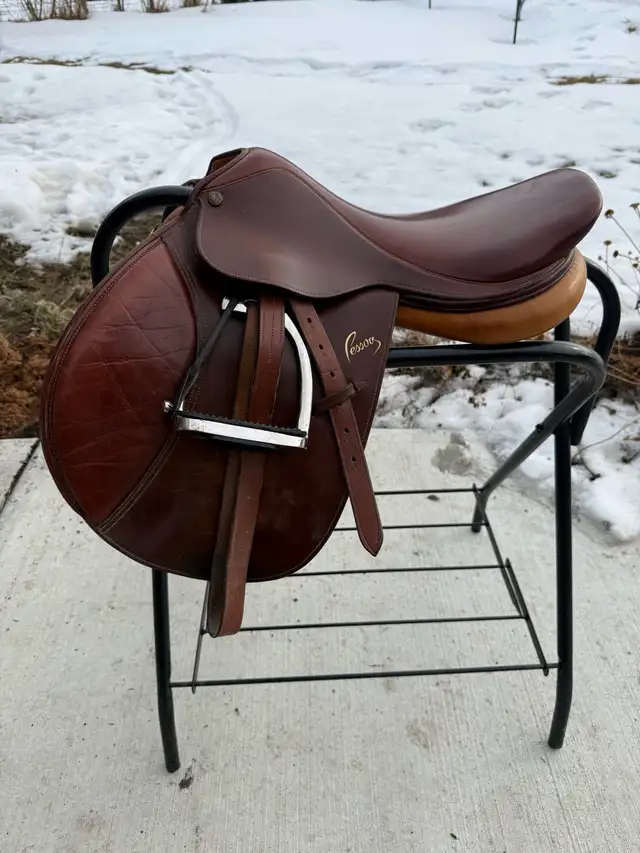 Pony Pessoa in Equestrian & Livestock Accessories in Red Deer - Image 2