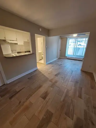 Rosemont Studio metro beaubien