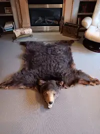 Bear Skin Rug With Head And Claws