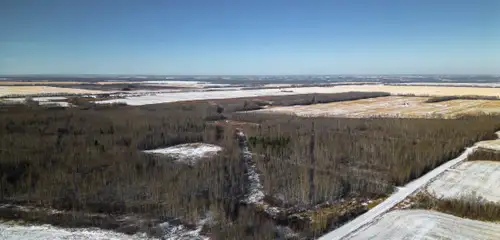 Approx 111 acres of established bush 11.5 miles north of Tangent, Alberta Numerous quad trails throu...