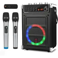 karaoke Speaker Wireless Bluetooth audio microphone PA deep bass
