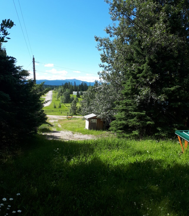 Beautiful Mountain View Acreage Hinton Alberta Houses for Sale St