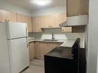 2 Bedroom Appartment for Rent - Newly Renovated